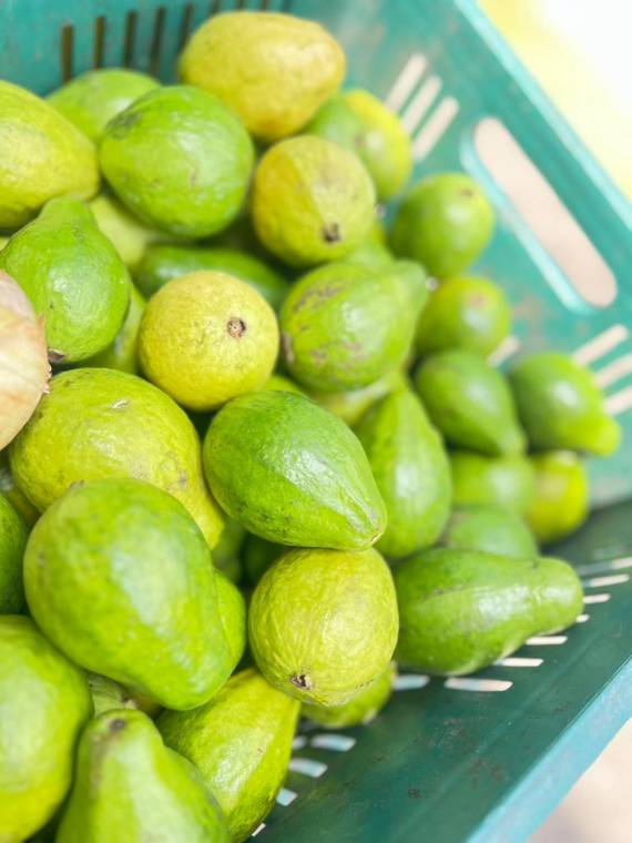 Aguacate fresco en Armenia, Quindío