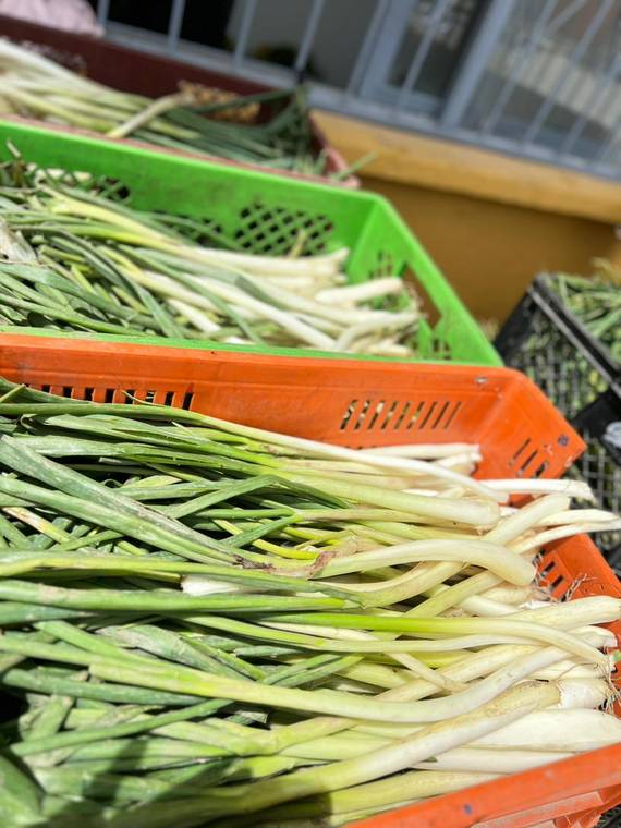 Cebolla larga y verduras frescas en Armenia