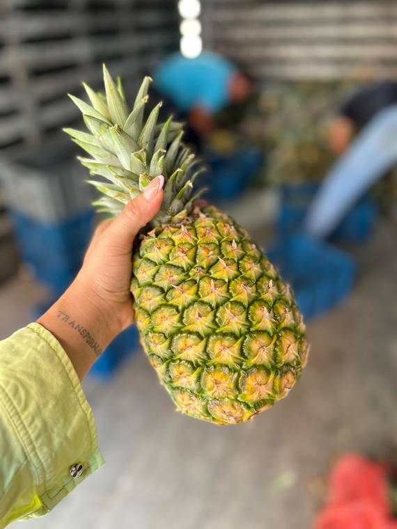 Piña