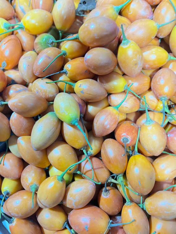 Tomate de árbol